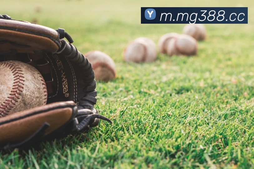 平台展示图